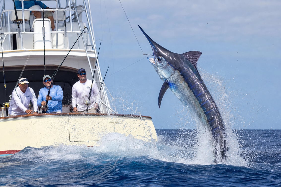 Tu primera salida de pesca: checklist definitivo