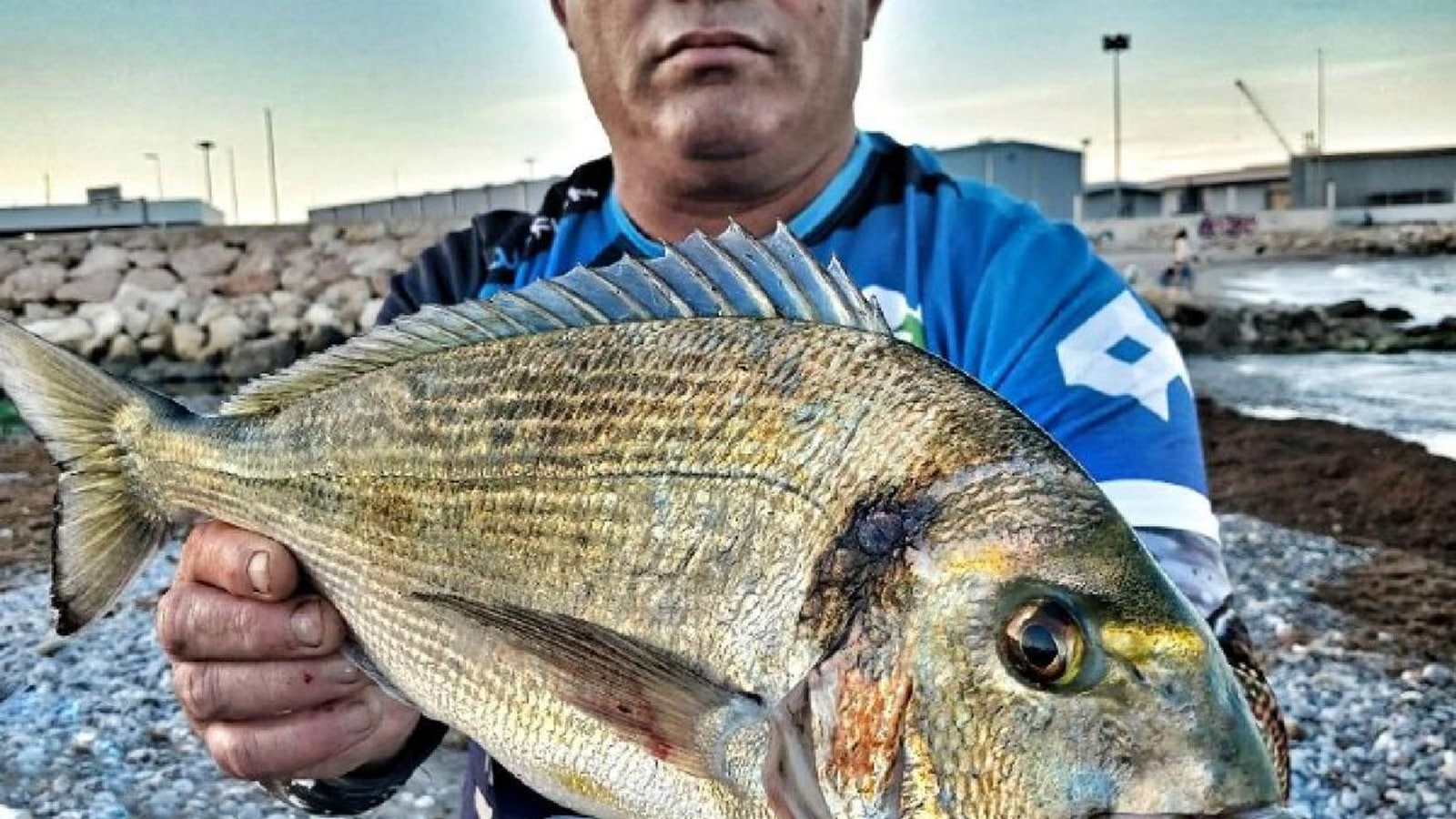 Chambel a la dorada, la herrera y la mojarra