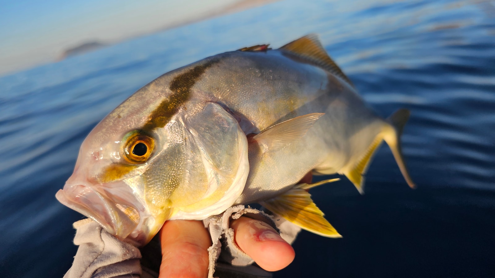 Cómo empezar a pescar a pesca vertical