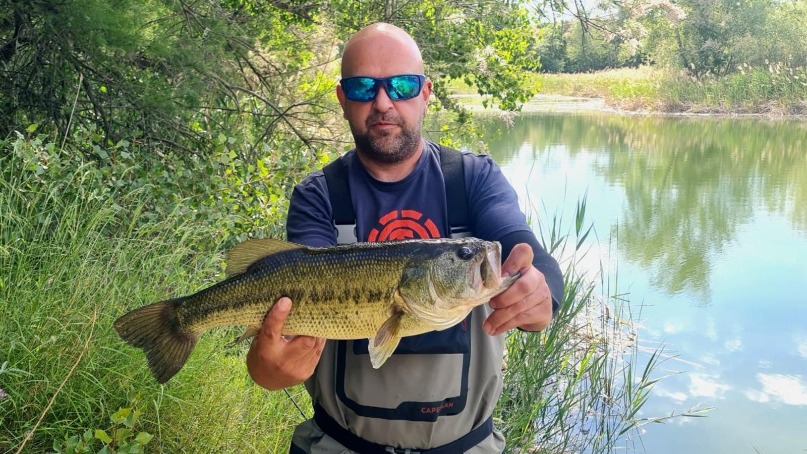 Los 5 mejores señuelos para el black bass (datos)