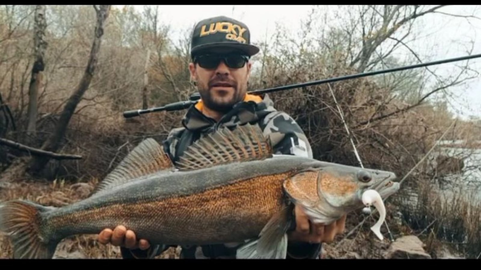Pesca de la lucioperca en España: la guía definitiva (2026)