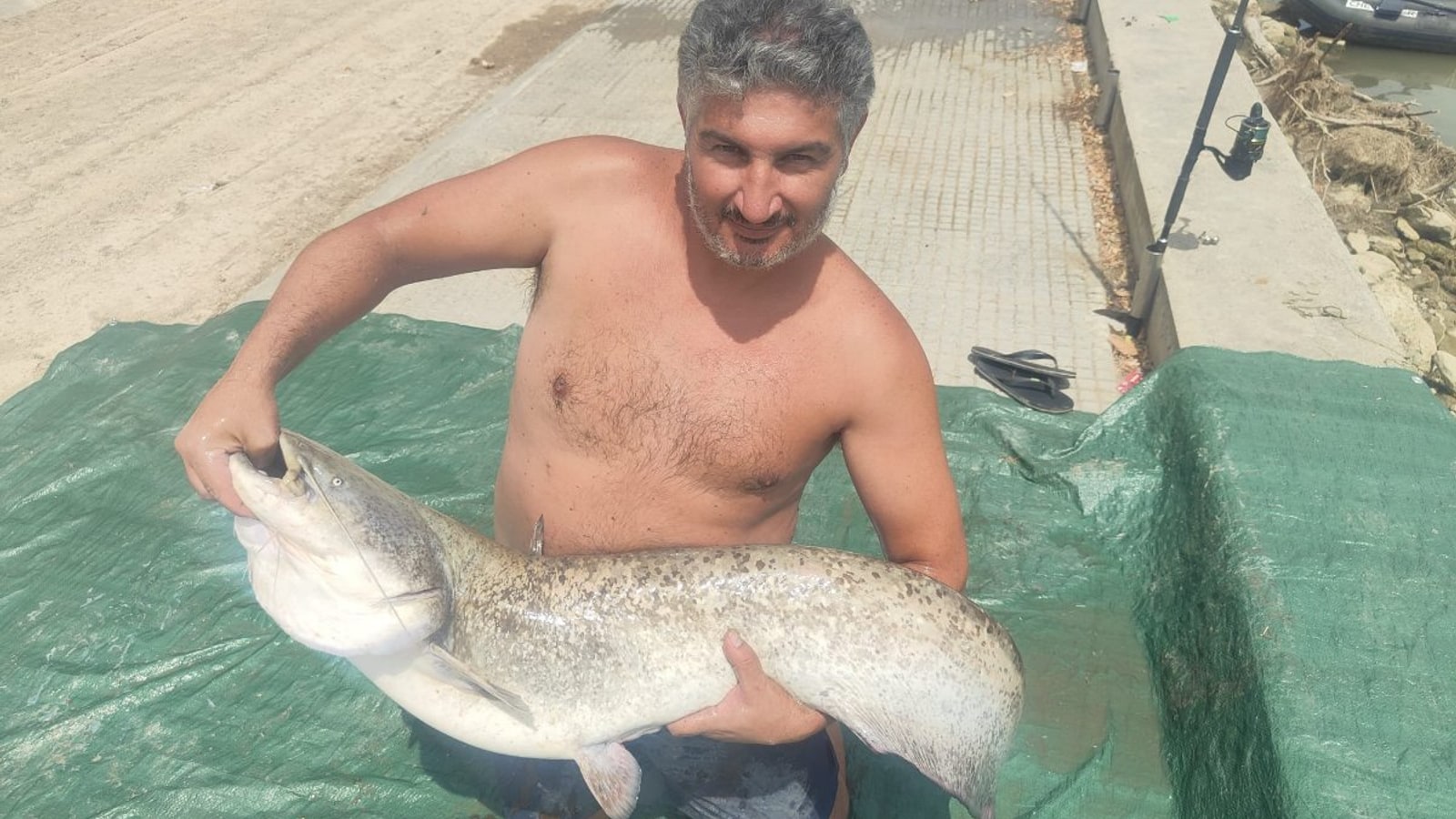 Pesca del siluro en España: la guía definitiva (2026)