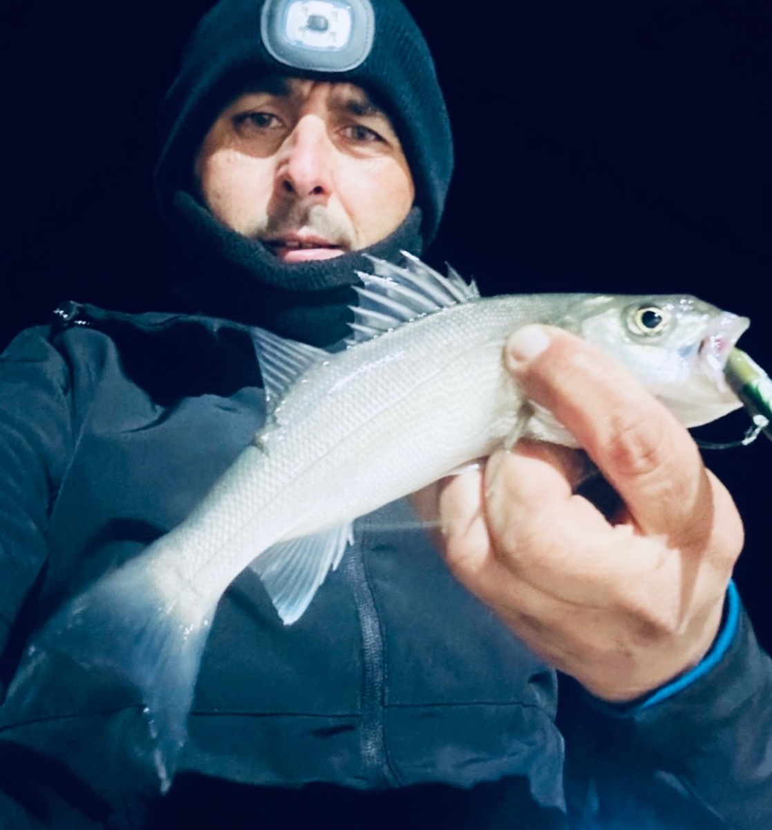 Segunda captura de lubina para comparar condiciones de pesca