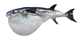 Tamboril Oceánico