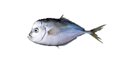 Espejo